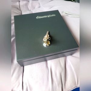 Secure Safebox